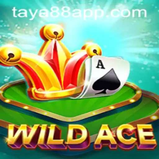 Exploring the WildAce: The New Frontier in Online Gaming
